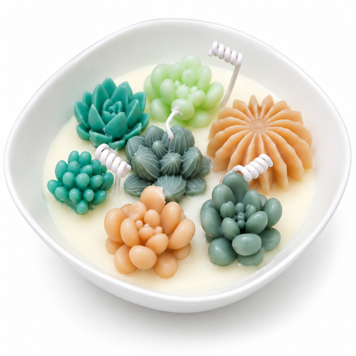 Succulent Bowl Candle