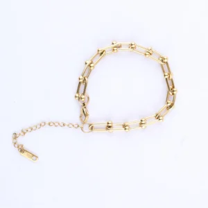 Linked Chain Bracelet